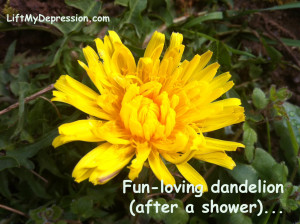 Dandelion-fun