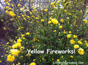 yellow fireworks